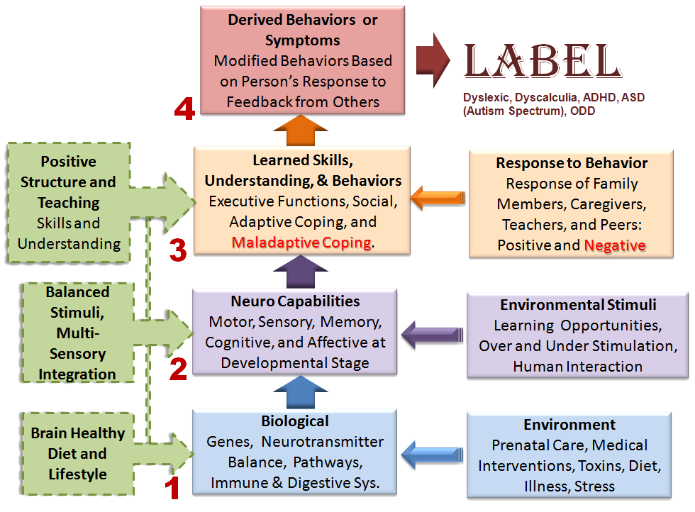 4myLearn Learning Disability Model
