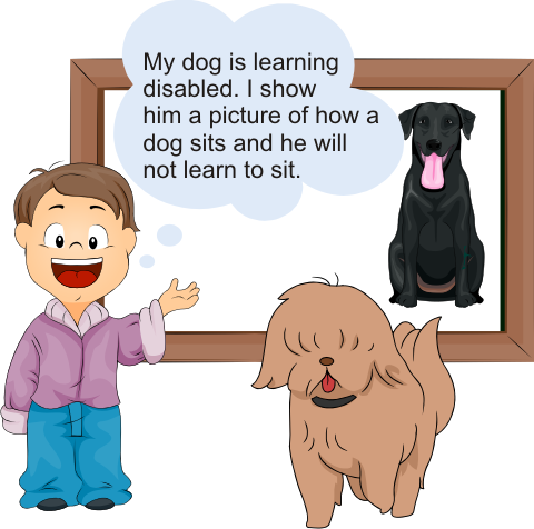 Learning Disabled Dog